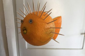 Creazioni temporanee 15
