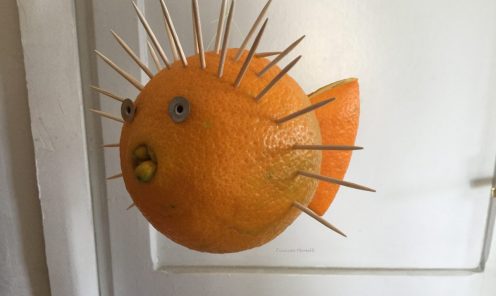 Creazioni temporanee 15