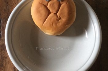 Creazioni temporanee 11