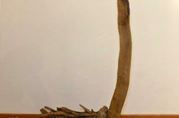 driftwood 0