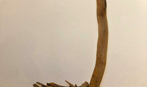 driftwood 0