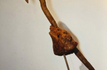driftwood 10