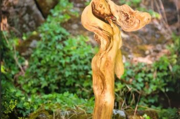 driftwood 16