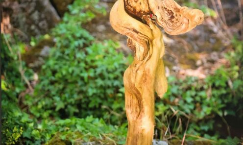 driftwood 16