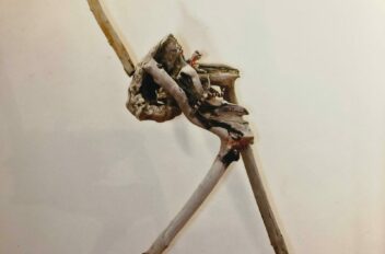 driftwood 01