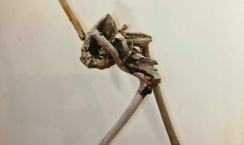 driftwood 01