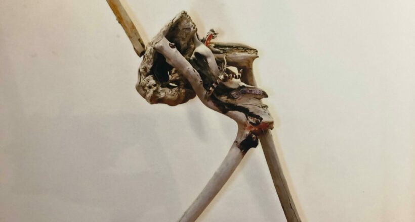 driftwood 01