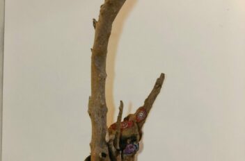 driftwood 02