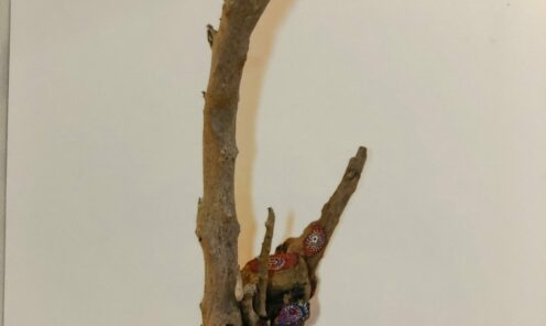 driftwood 02