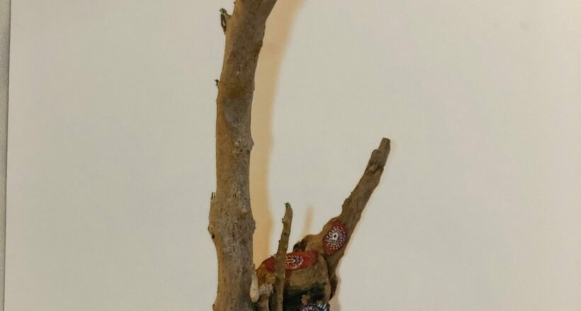 driftwood 02