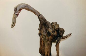 driftwood 04
