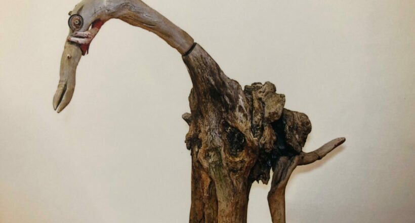 driftwood 04