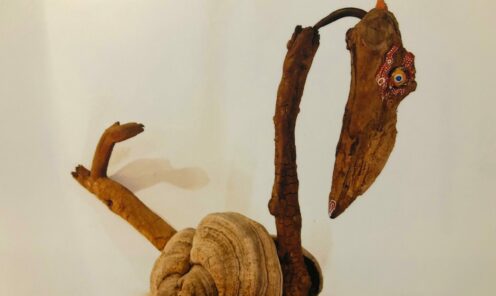 driftwood 05