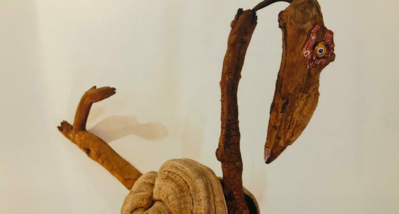 driftwood 05