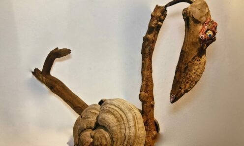 driftwood 06