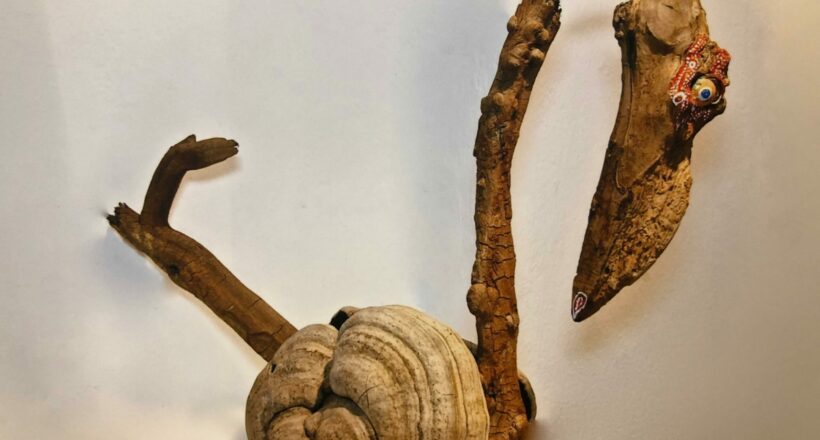 driftwood 06