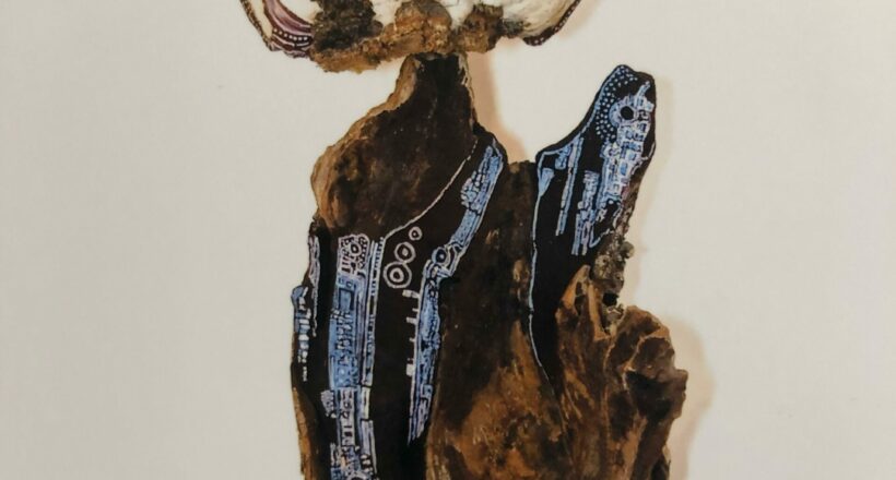 driftwood 07