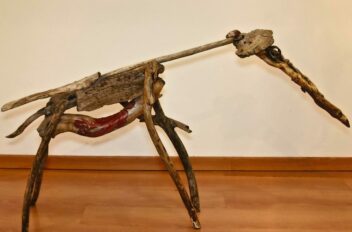 driftwood 08
