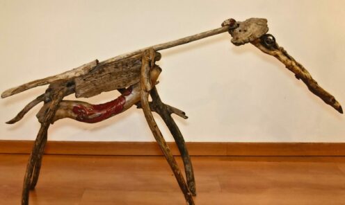 driftwood 08