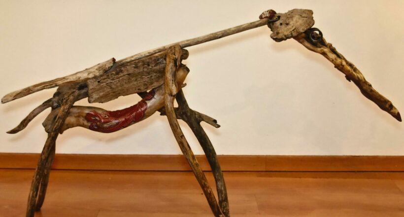 driftwood 08