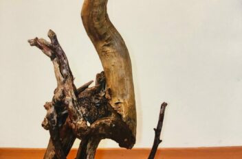 driftwood 09